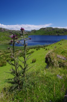 ireland_20110904_1039697580