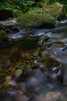 ireland_20110904_1117304070